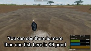 Roblox Wild Savanna | How to catch fish | Marabou Stork - FISHING GUIDE