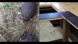 В гостях у Прошки