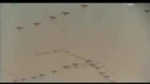 Парад Войска Польского в 1939 году