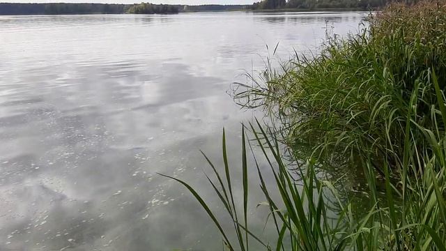 Калязин, 09.23 напротив острова Спировский смотреть онлайн