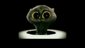 двухдапый черный кот с большими глазами поет скетмен