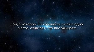 К чему снится Гуси (Сонник, Толкование снов)