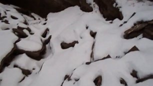 03.В Усть-Абаканском районе на сельхозугодиях обнаружено 5 карьеров по добыче скального грунта.