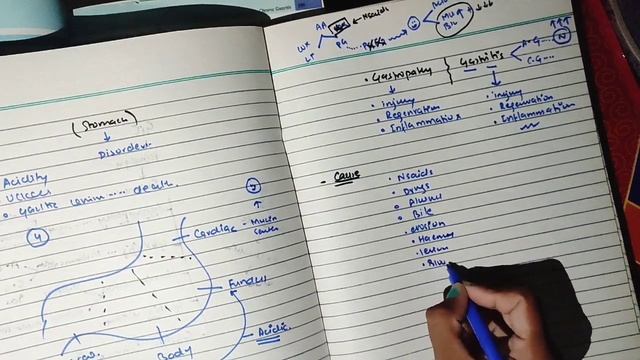 Gastritis , Gastropathy ,part 1, #git #pathology #robbins #gastritis #gastropathy смотреть онлайн