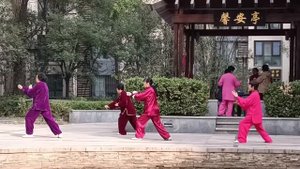 Тайцзицюань_28 форм _28式太极拳 (Tai Chi 28 form)