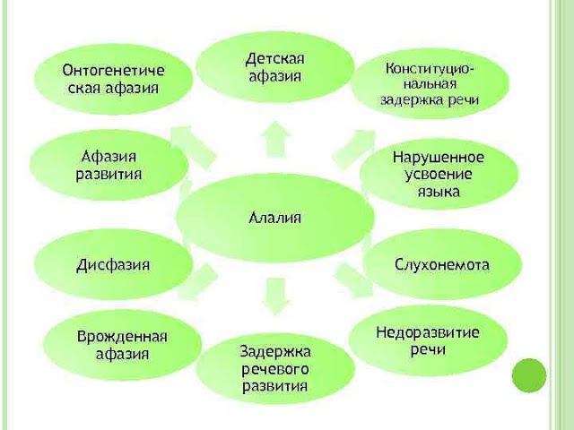 LR отзыв : алалия преодолима!От возможной инвалидности до учёбы в европейской школе