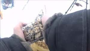 Рыбалка Самодельная прикормка Зима