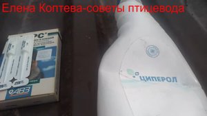 Клещи,вши,блохи у кур. Циперол. Барс.