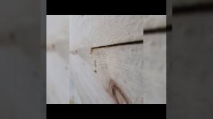 Бассейн своими руками.из дерево