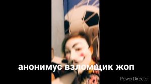 все виды анонимусов