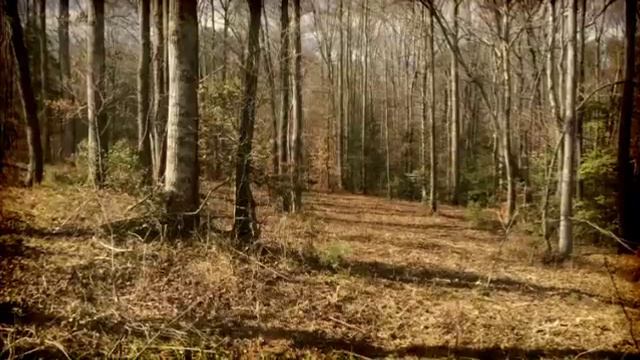 314 Gibson Rd Inman SC 29356 смотреть онлайн