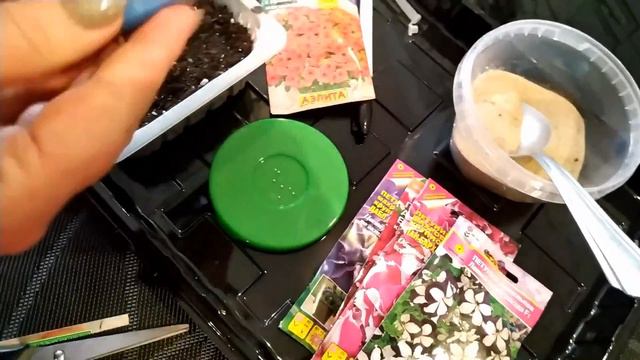 Петуния. Лучший способ посева. Сезон 2019 смотреть онлайн