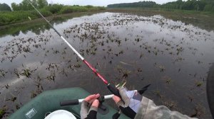 TsuYoki BAD "БАД" в логове голодных щук. Лучшая приманка 2020!!!!