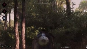 Как НУЖНО играть в Hunt Showdown - Игра в КОМАНДЕ