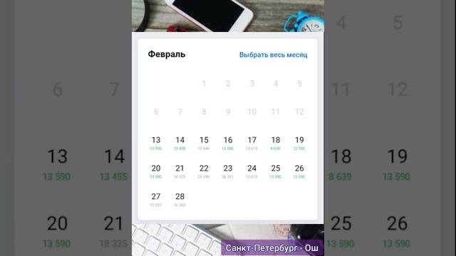 Цены на Авиабилеты Февраль-2023, Бишкек - Санкт-Петербург - Бишкек,