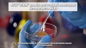 ФГБУ «ВГНКИ» провело масштабный мониторинг безопасности мёда