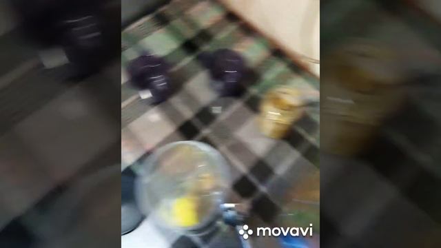 Домашний майонез. Способ приготовления майонеза в домашних условиях. Простейший рецепт.