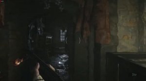 Resident Evil 8 on FX4100/ R7 260x