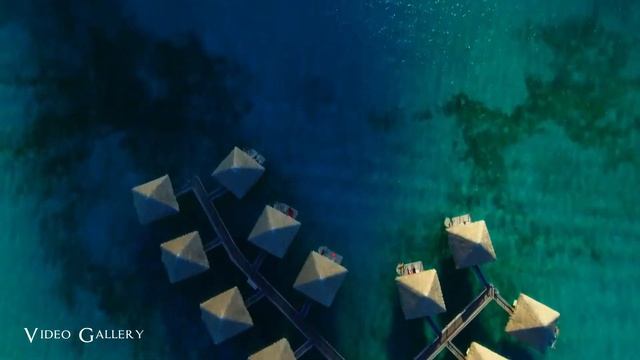 Бора-Бора - Французская Полинезия смотреть онлайн