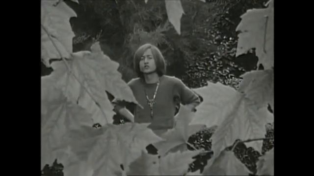 Love Me Please Love Me (MICHEL POLNAREFF) смотреть онлайн