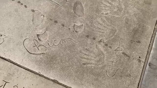 Hollywood Grauman’s Chinese Theater Sidewalk Signature Tour смотреть онлайн