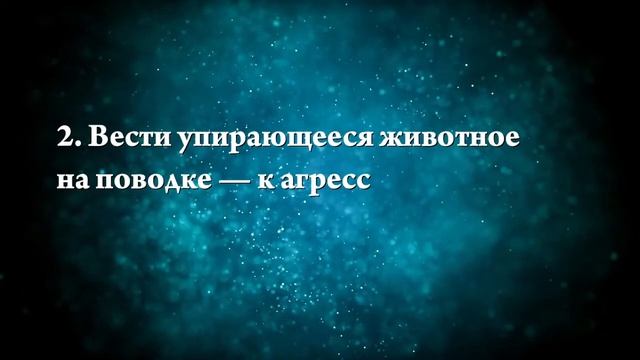 К чему снится бегемот - Онлайн Сонник Эксперт смотреть онлайн