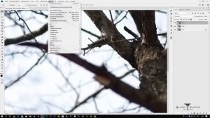 Убираем аберрацию с фотографии в фотошопе