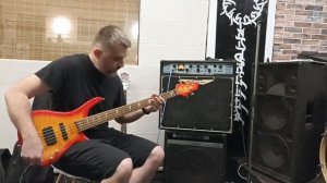 AXL Tiger Pro 5 string bass for sale