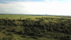 Красивая успокаивающая музыка.