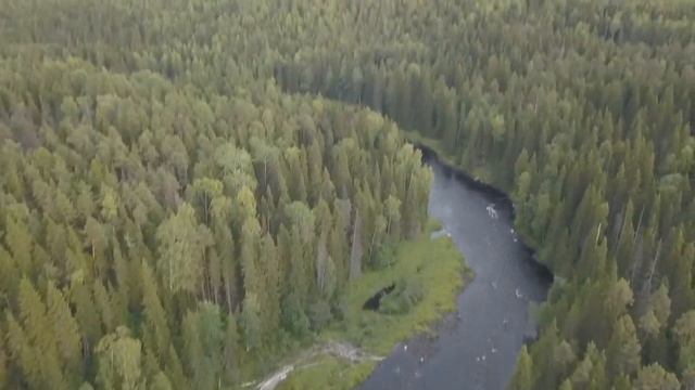 Порог Падун, река Кожа в Онежский район Архангельской области, левый приток Онеги. смотреть онлайн