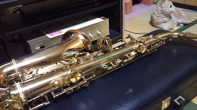 僕の新しい楽器、ヤナギサワサクソフォーン смотреть онлайн