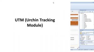 Установка Яндекс Метрики  Настройка целей  Настройка UTM меток
