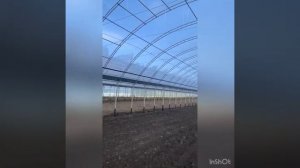 Верхний полив в теплице автоматически , полив Редиски , кинза ? шпинат , и т.д