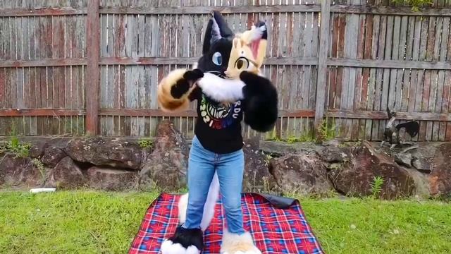 Kuro the Kemono Cat ~ FURSUIT FEATURE смотреть онлайн