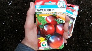 Интересные экзотические томаты от Сибирского сада, которые мы посадим в этом сезоне