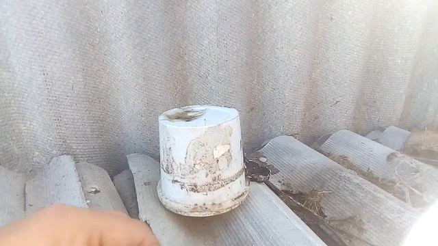 Дымный порох , виды гранулирования смотреть онлайн