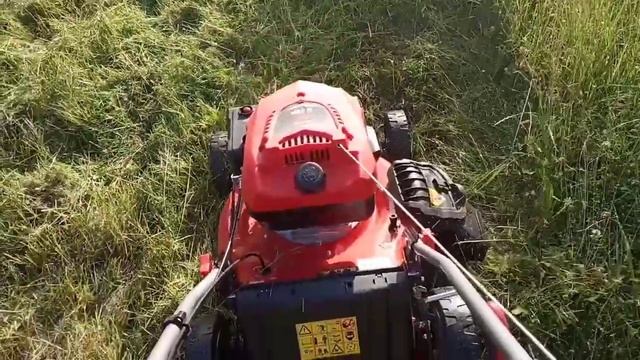 Газонокосилка и высокая трава. Как газонокосилка косит высокую траву. ECO-633