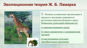 ГОТОВИМСЯ К ЕГЭ ПО БИОЛОГИИ-2020. Эволюционная теория Ж.Б. ЛАМАРКА