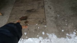 Команда, которую боится выполнять моя собака - немецкая овчарка, Джейкоб