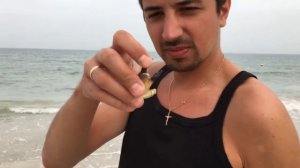 #4 СРЕДИЗЕМНОЕ МОРЕ НА ОСТРОВЕ ДЖЕРБА || СУВЕНИРЫ И ГРОЗА В ТУНИСЕ