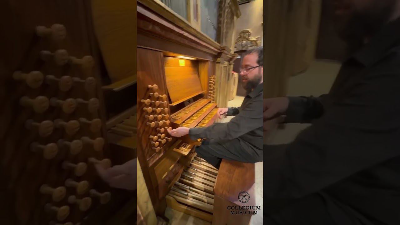 Орган — один из самых удивительных инструментов в мире, и его устройство — самая настоящая сказка… смотреть онлайн