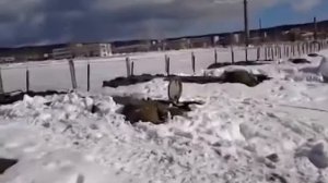 Снегом засыпало МТ-ЛБ