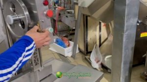 Ленточная пила Vega Msaw H 850 для распила замороженного мяса, рыбы и костей | Обзор от профи