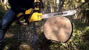 CHAMPION - "Первая вспышка" бензопилы