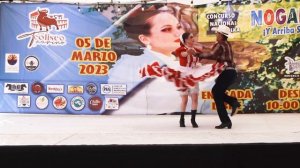 Томас Айяла и Лайза Чапарра, финалисты конкурса польки #upskirt #латино #костюмированный#танец
