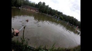 Рыбалка на сома Африканца в Подмосковье.