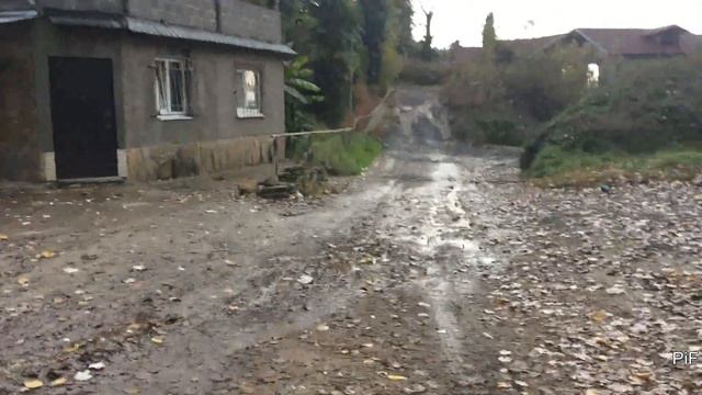 Дорога к морю от санатория "Прогресс" ( Хоста)