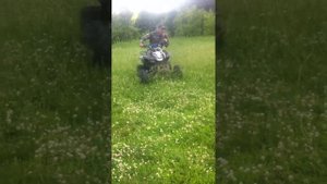 patron scaner 150 cc тест