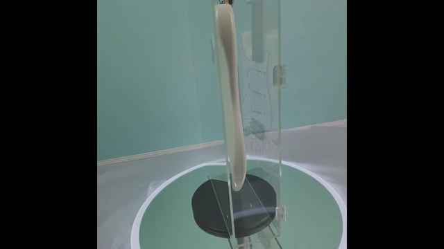 The Beach Boys Autographed Fender Guitar w Surfin USA Lyrics Added PSA ACOA Authenticated смотреть онлайн