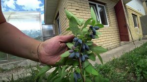 Каналу исполнилось 3 года. Подборка лучших моментов